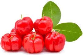 imagem de ACEROLA PCT