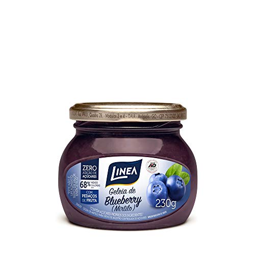 Geleia de Mirtilo (blueberry) sem açúcar Orgânica 270g - Carraro - Empório  Cazarini