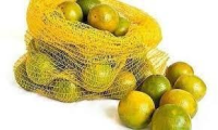 imagem de LARANJA PERA RIO SUCO SC 4KG