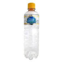 imagem de ÁGUA MINERAL COM GÁS PASSA QUATRO PET 510ML